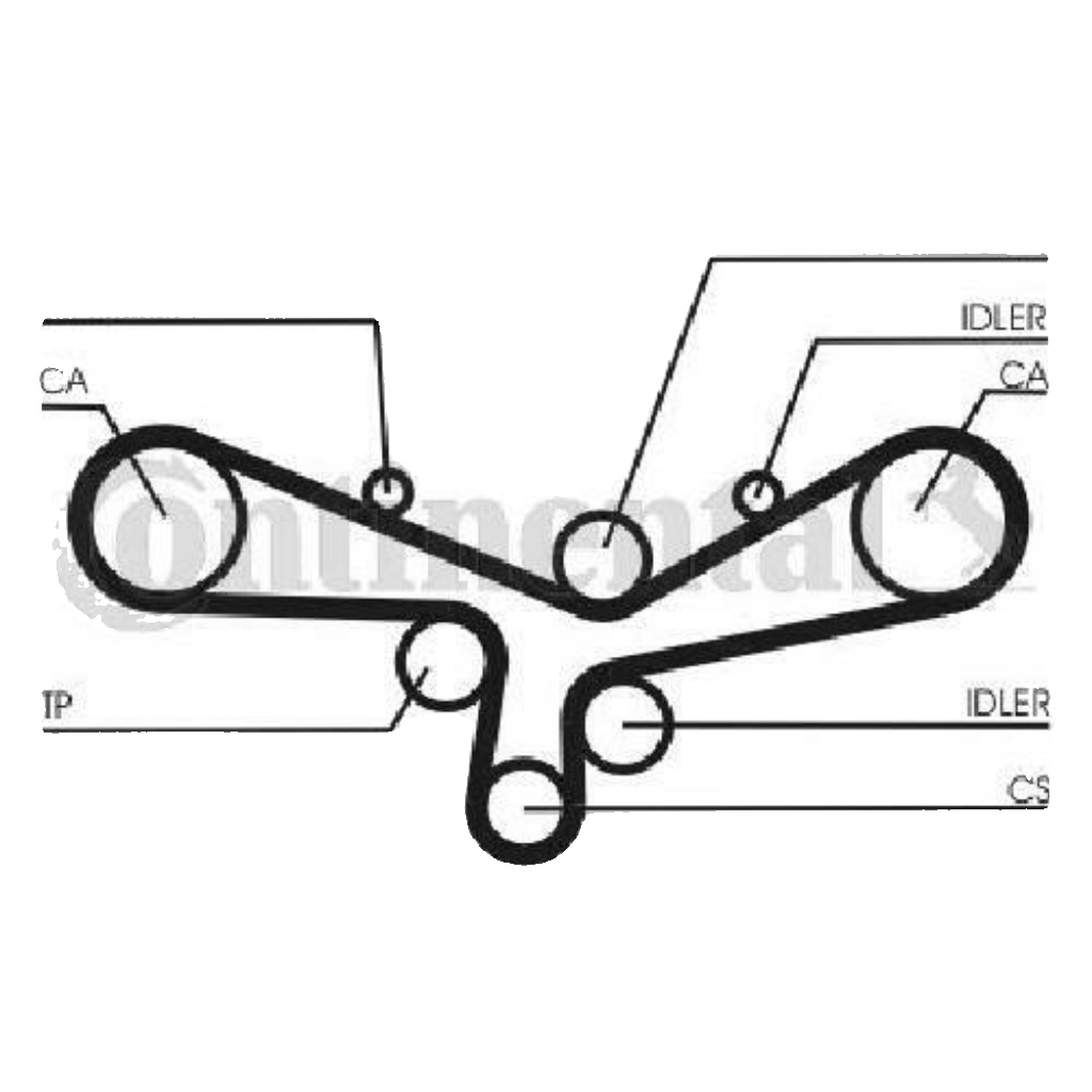 CT920WP2 CONTINENTAL CTAM Water Pump & Timing Belt Set for AUDI