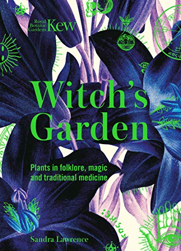 Witch's Garden: Plants in Folklore, Magic and Traditional Medicine by Sandra La - Image 9