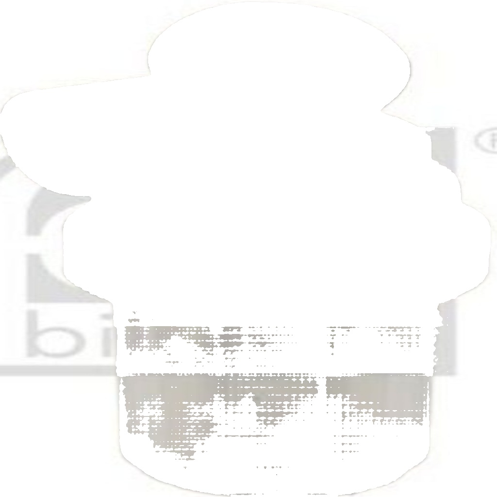 FEBI BILSTEIN 35160 Fuel Pre-Filter 107mm Length 50mm Diameter Fits MAN NEOPLAN