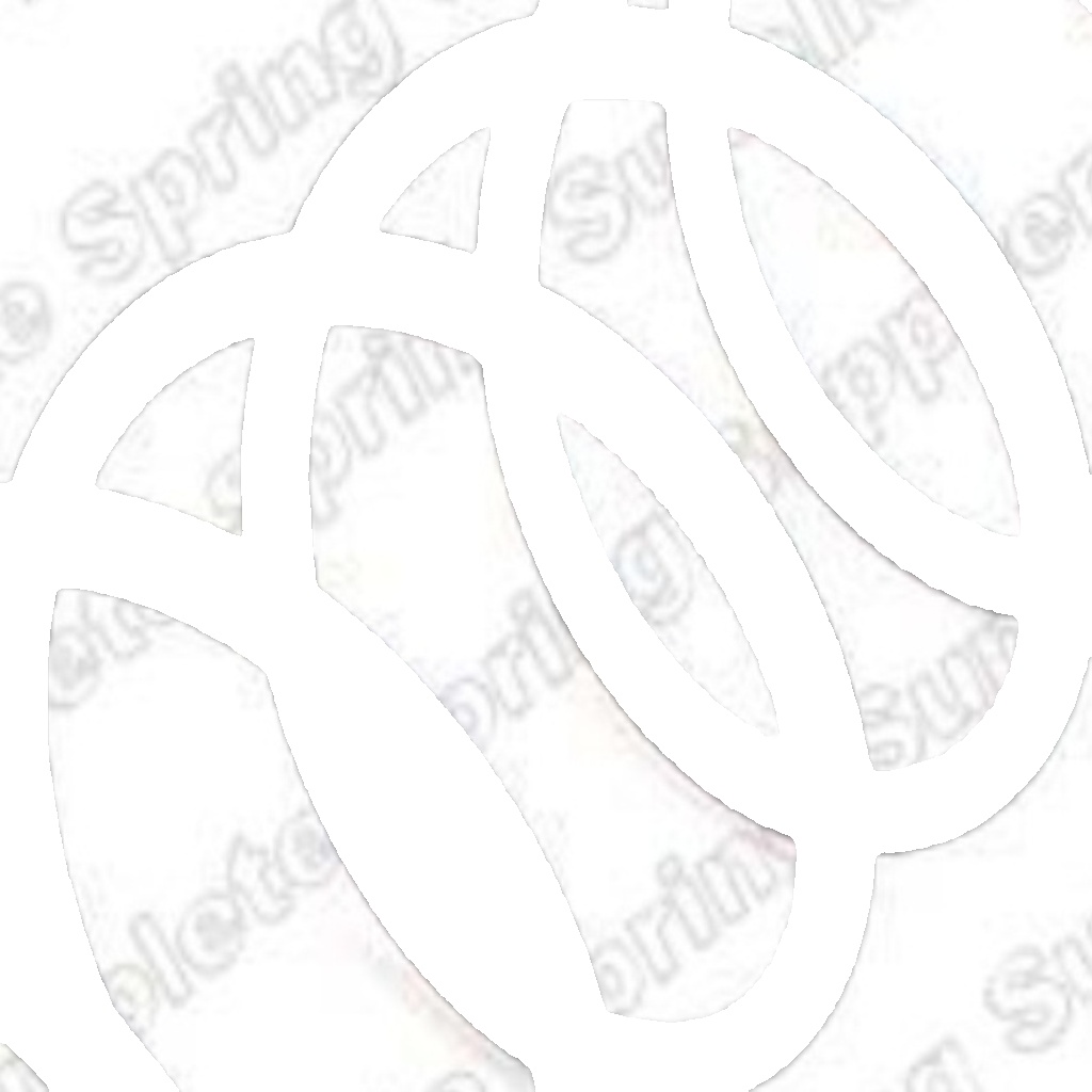 Suspension Coil Spring Front Durable High Strength Fits Peugeot 405 KILEN 21400