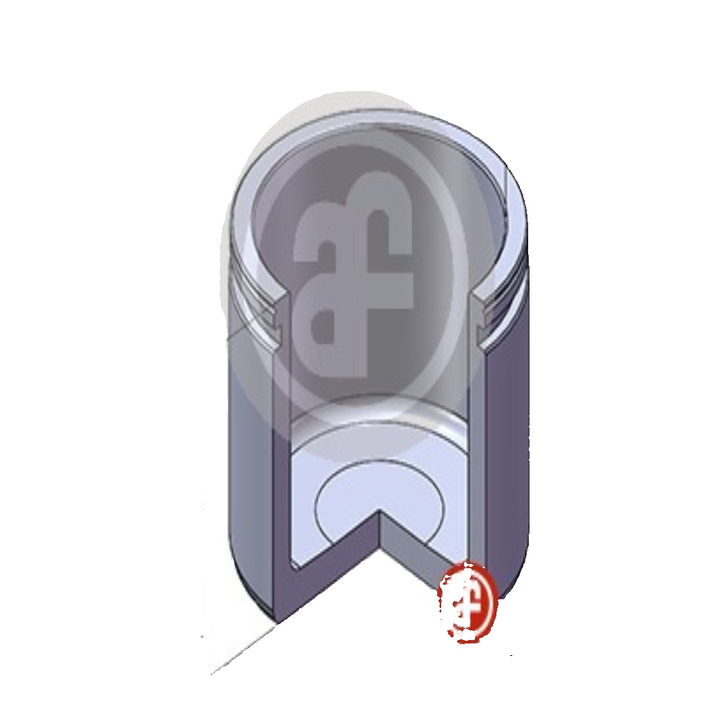 Front AUTOFREN SEINSA D02557 Piston, brake caliper for CITROËN,FIAT,FORD,PEUGEOT