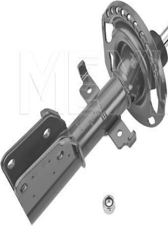 Front MEYLE GERMANY 16-26 623 0022 Shock Absorber for RENAULT