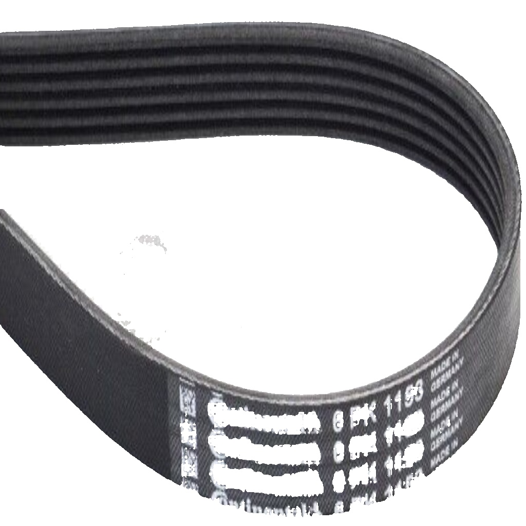 6PK1153 CONTINENTAL CTAM V-Ribbed Belt for ,BMW,CITROËN,DACIA,DS,FIAT,FORD,INFIN