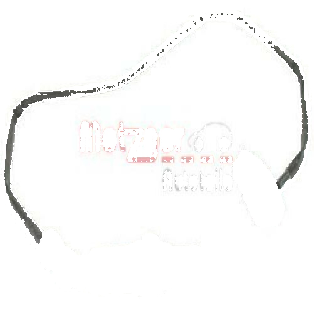 Original METZGER Oxygen Sensor 0893506 for Audi Seat Skoda VW