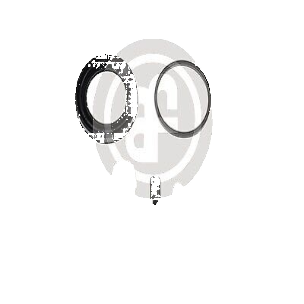 Rear AUTOFREN SEINSA D4616 Repair Kit, brake caliper for CITROËN,FIAT,LEXUS,OPEL