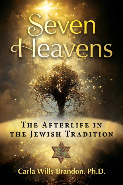 Seven Heavens by Carla Wills-Brandon, Bruce Greyson - 9781644118153