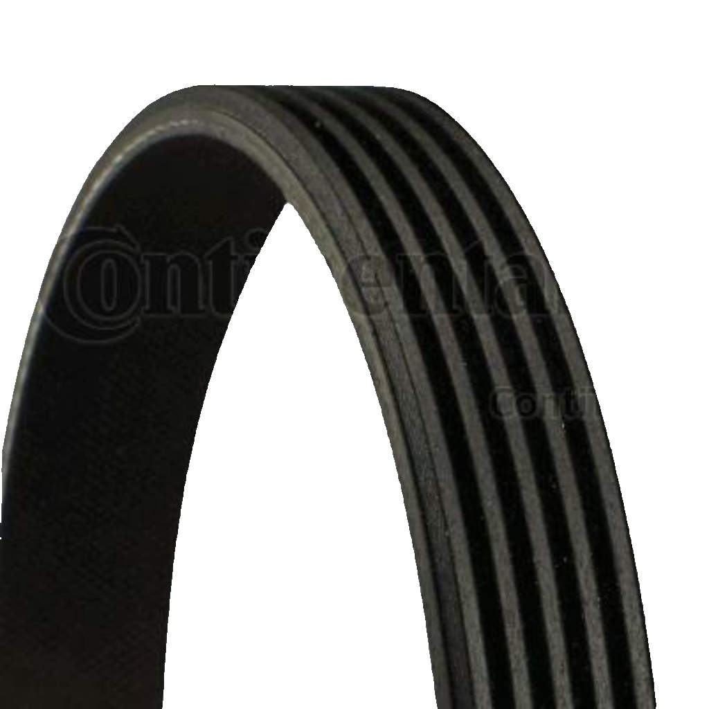 5PK690 ELAST CONTINENTAL CTAM V-Ribbed Belt for FORD