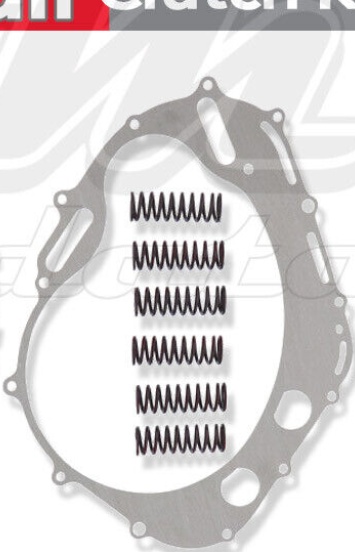 TRW MSK261 Super Kit Discs + Spacers + Springs For Motorcycle Parts