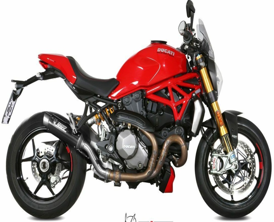 Mivv Exhaust Muffler Gp Pro Carbon for DUCATI MONSTER 821 2018 > 2020