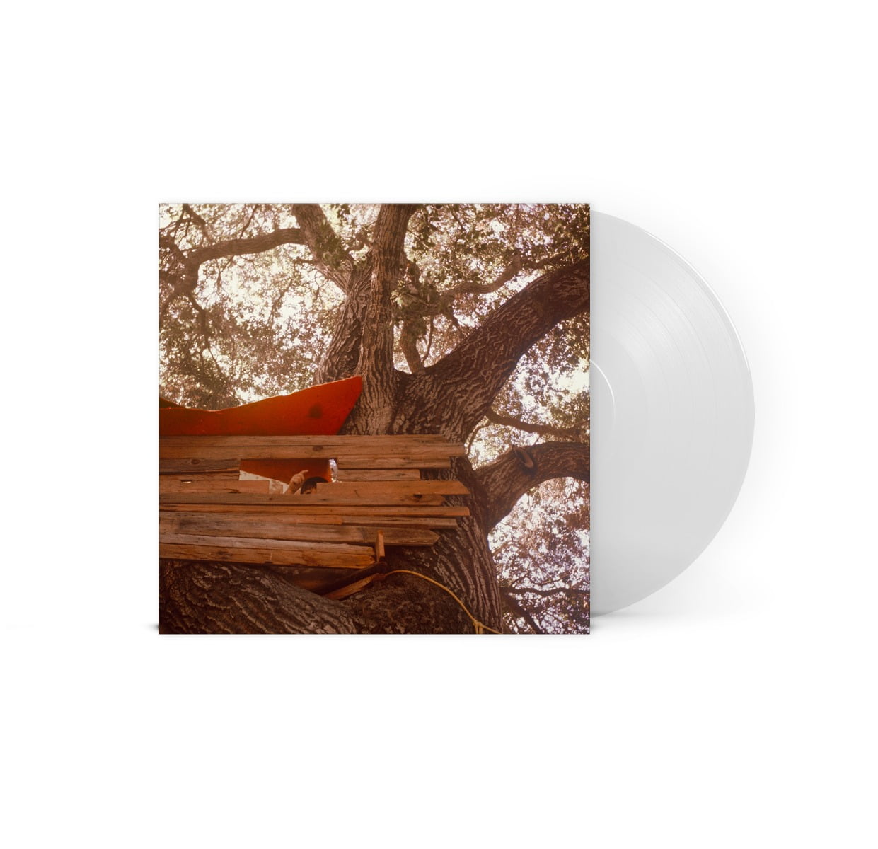 The Backseat Lovers | Waiting To Spill | Clear | Vinyl LP