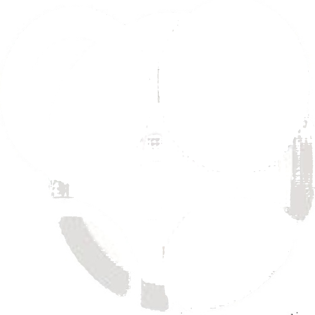 Fits AUTOFREN SEINSA D41725 CALIPER REPAIR FOR IVECO DAILY III 06- FR ⭐UK Stock⭐