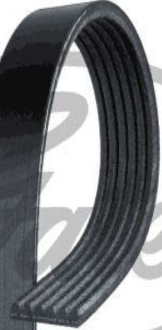 New V-Ribbed Belt for MAZDA:3 Saloon,3 Hatchback,AXELA Saloon,3 IV Hatchback