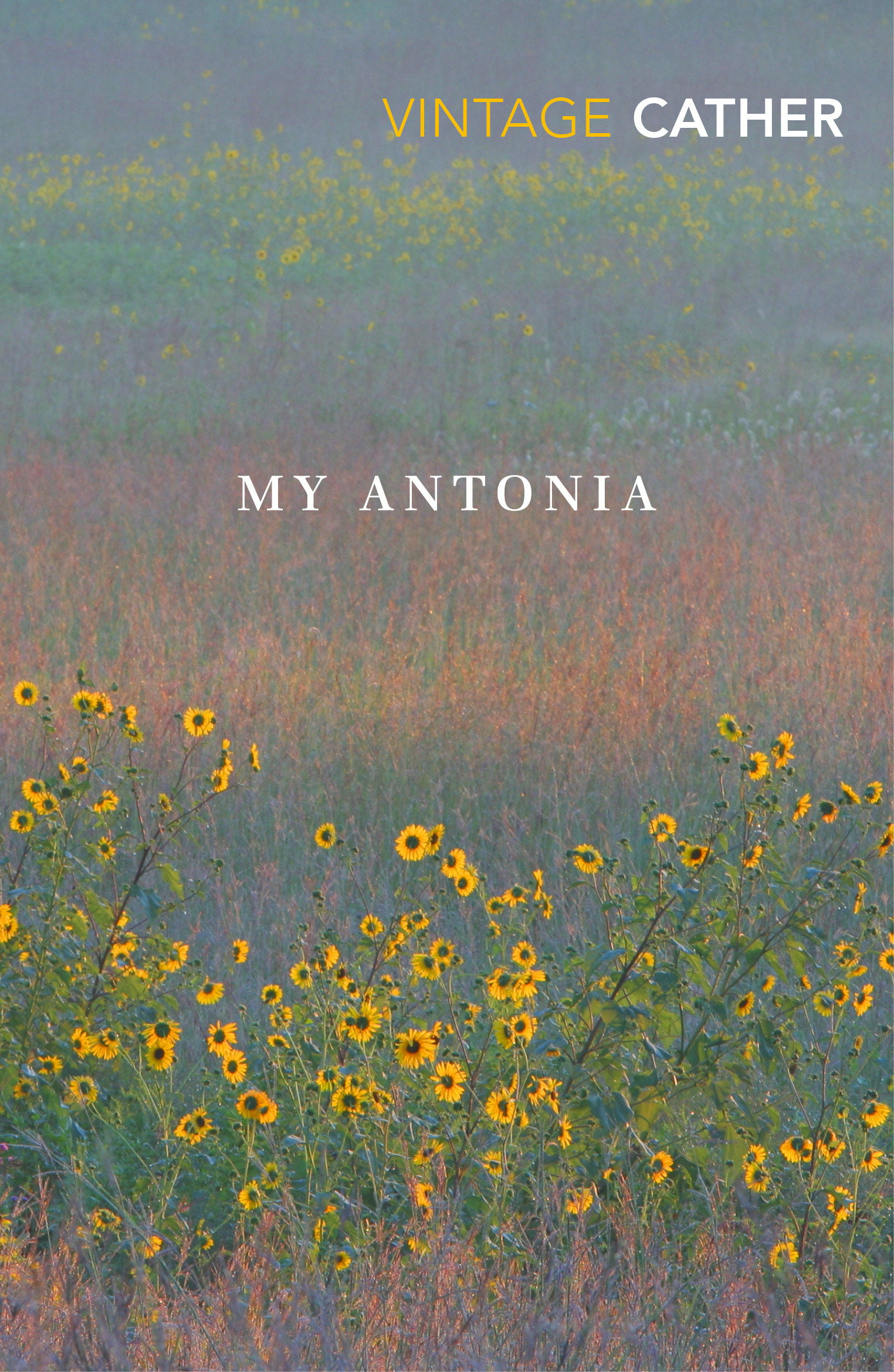 My Ántonia