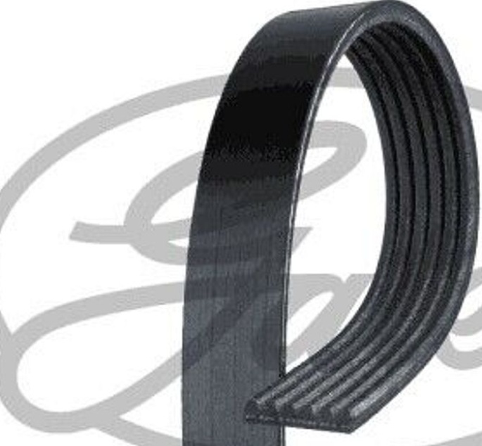 Gates 6PK1179EST V-Ribbed Belt