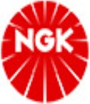 96596 NGK Spark Plug for SEAT,SKODA,VW
