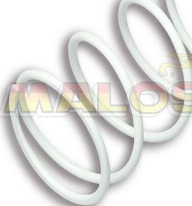 Free Shipping Malossi White Clutch Spring K 6 For Motorcycle Parts