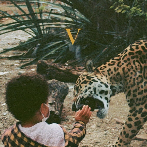 Unknown Mortal Orchestra | V | Gold Vinyl LPx2