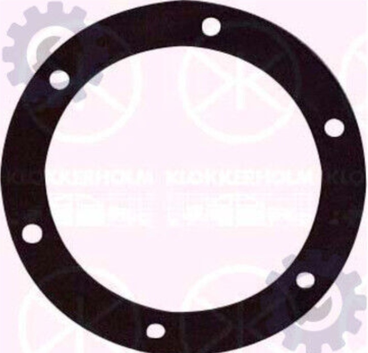 KLOKKERHOLM 50990097 Seal, fuel sender unit for OPEL,VAUXHALL