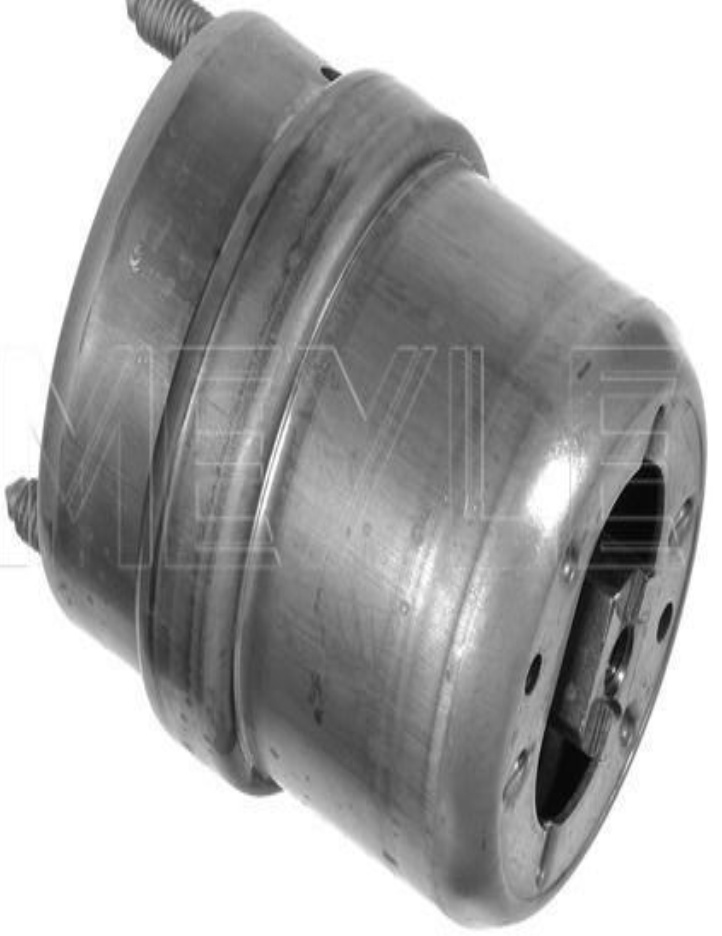 Right MEYLE GERMANY 100 199 0074 Mounting, engine for VW
