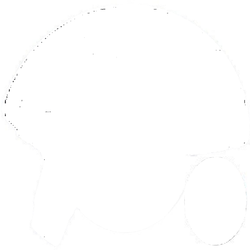 11234 A.B.S. Splash Panel, brake disc for RENAULT