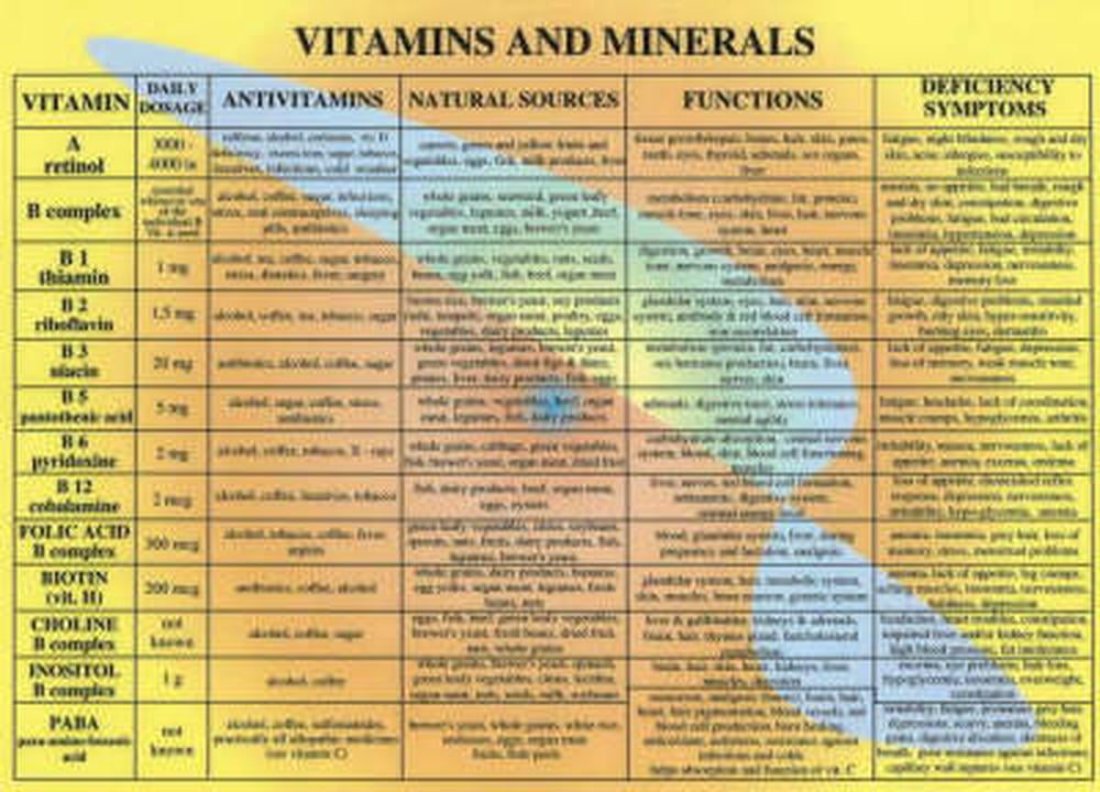 Vitamins & Minerals -- A4 by Jan Baarle - 9789070281212