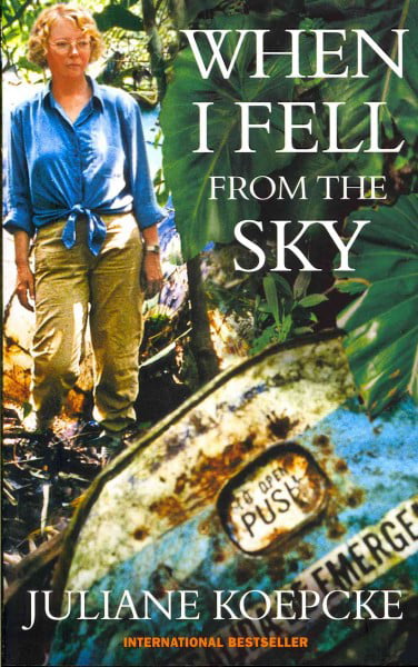 When I Fell From The Sky