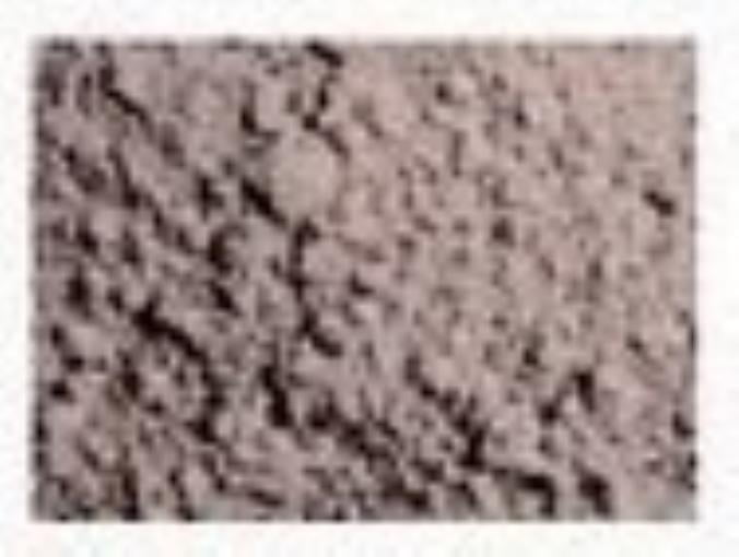 Vallejo Pigments - European Earth