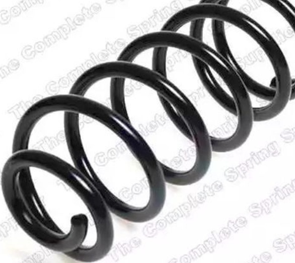 Rear LESJÖFORS 4226111 Suspension Spring for FIAT