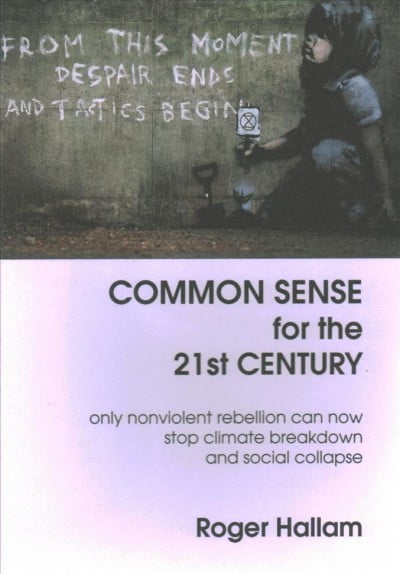 Common Sense for the 21st Century