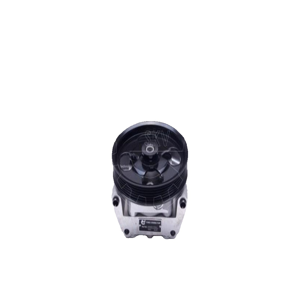 Power steering pump Hydraulic with belt pulley 10SKV304 ESEN SKV for JAGUAR