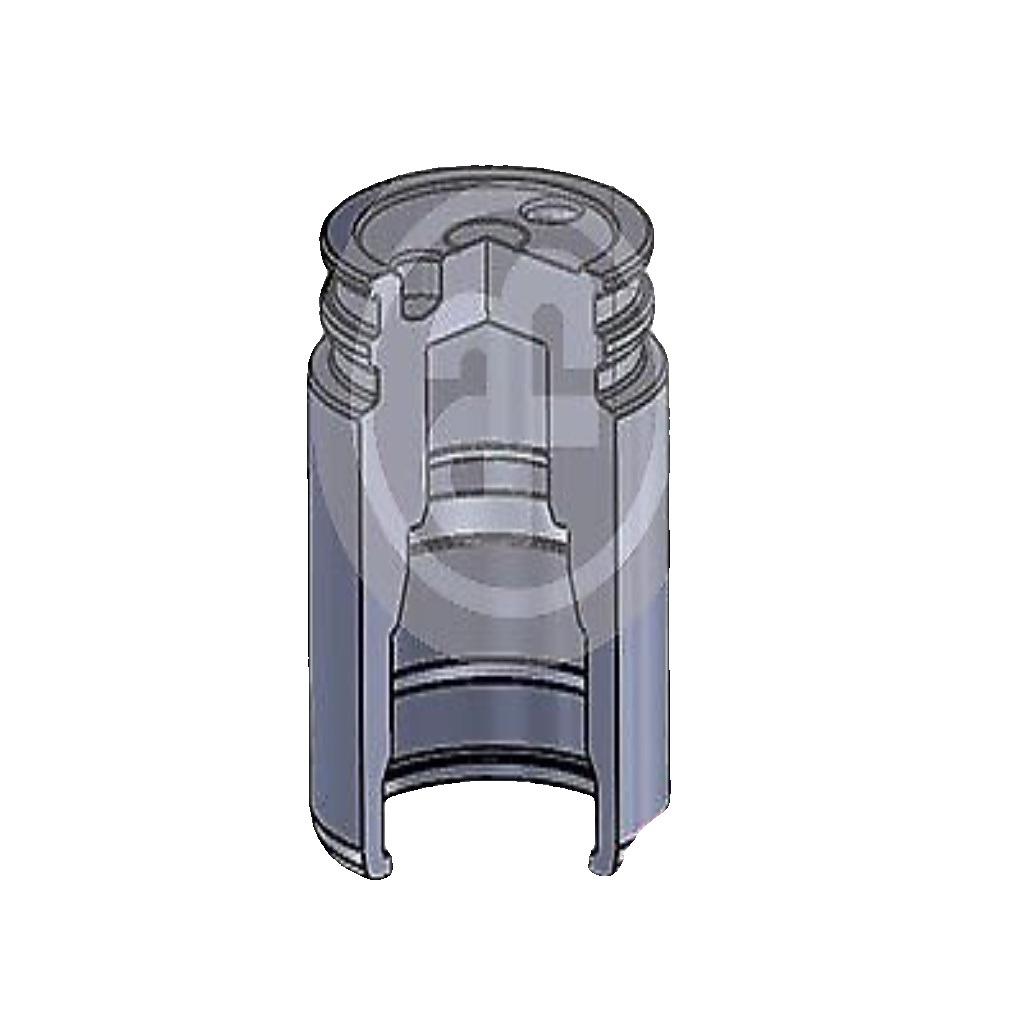 Brake caliper piston Rear Axle Steel D025251 AUTOFREN SEINSA for FORD CITROËN