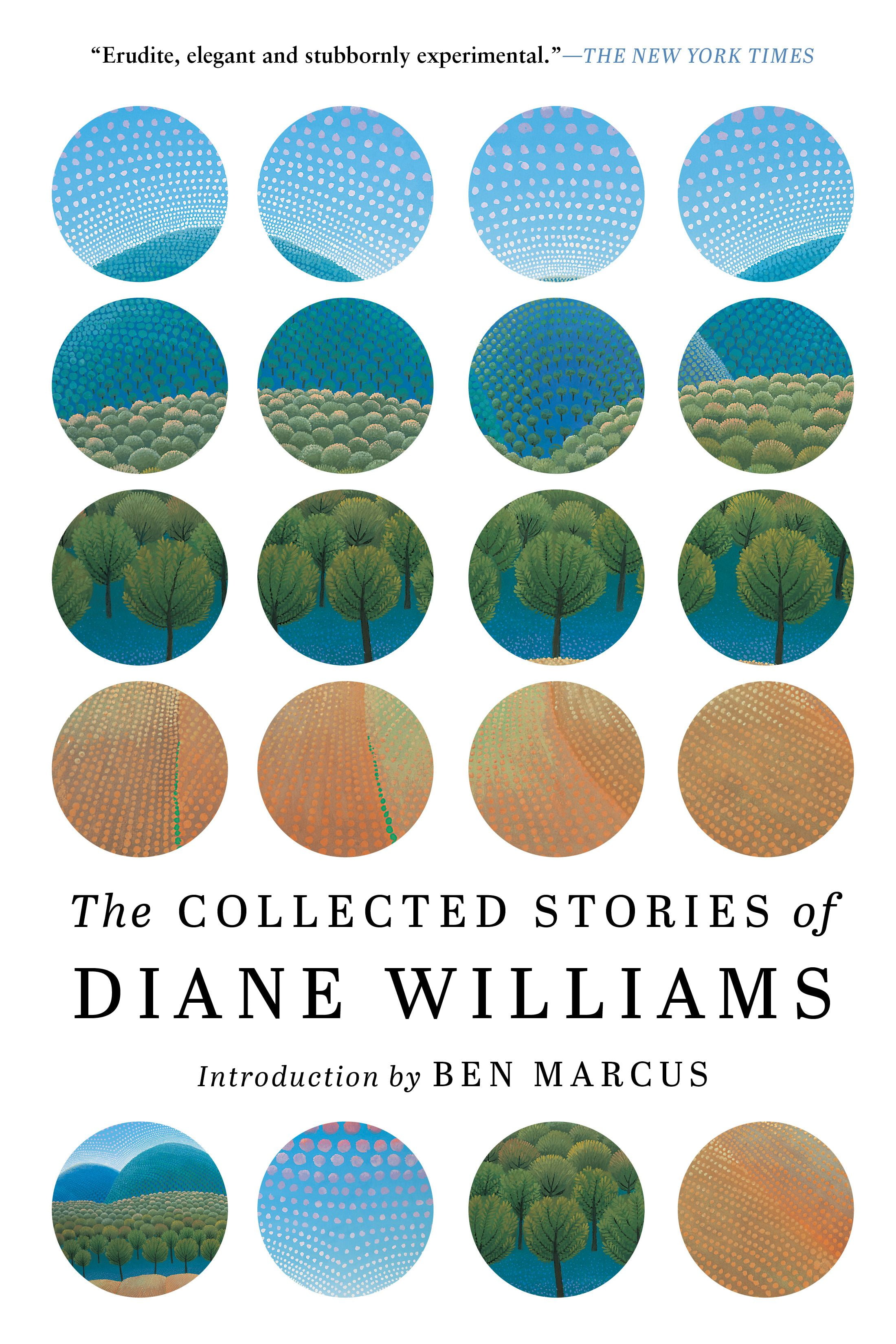 The Collected Stories Of Diane Williams by Diane Williams PAPERBACK - Image 3