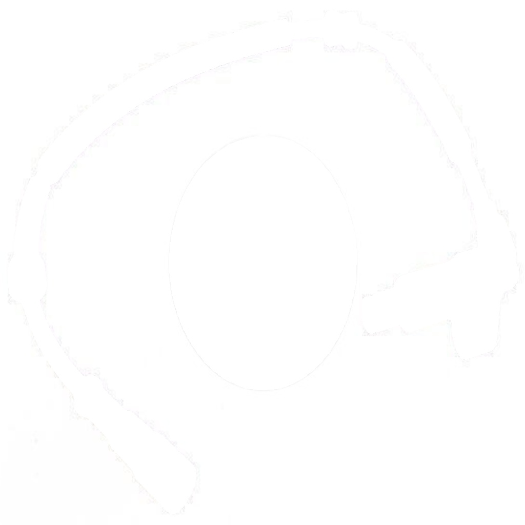 30312 A.B.S. Sensor, wheel speed for RENAULT