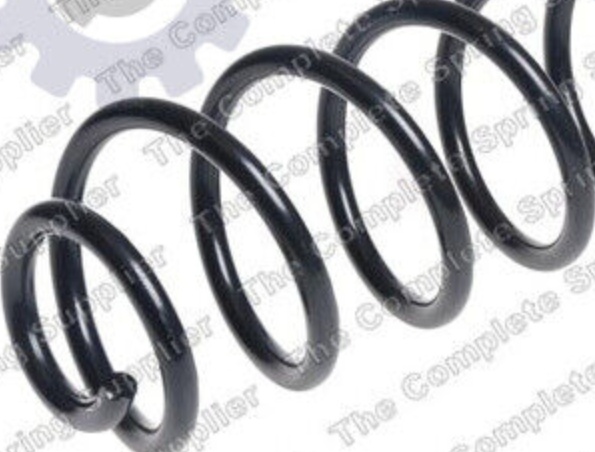 Rear LESJÖFORS 4226162 Suspension Spring for FIAT