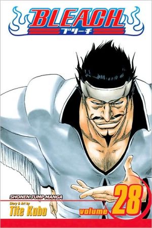Bleach, Vol. 28 Volume 28