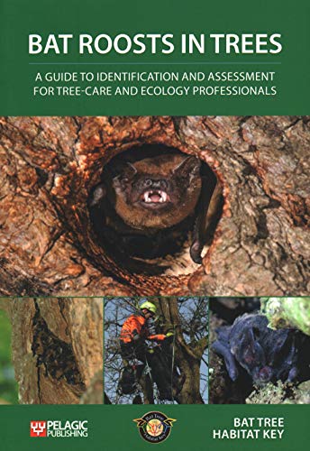 Bat Roosts in Trees: A Guide to Identification and Assessment for Tree-Care and - Image 2