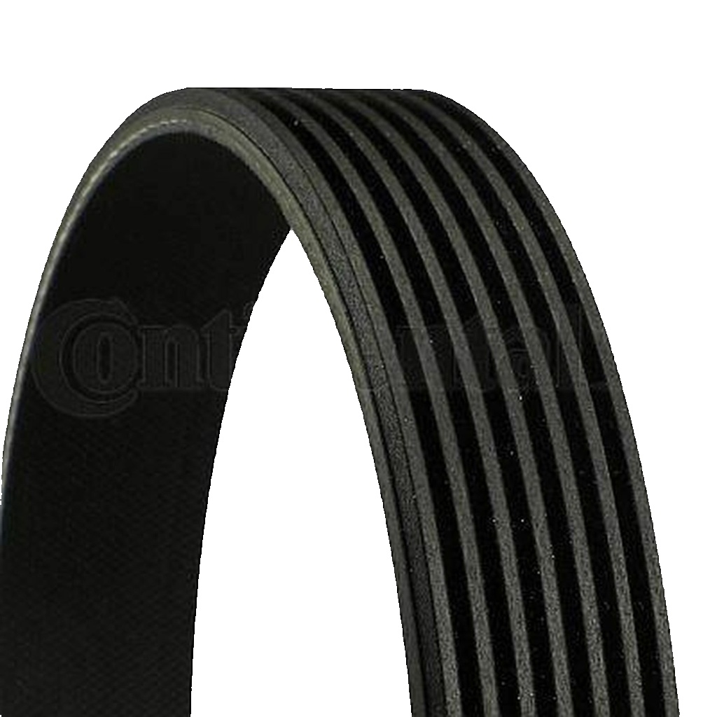 CONTINENTAL CTAM 7PK1801 V-Ribbed Belt for LAND ROVER