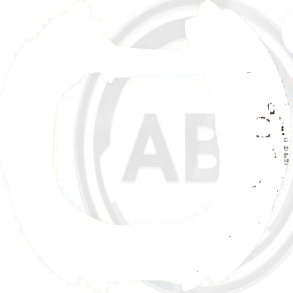 Original A.B.S. Brake Set Drum Brake 111451 For Renault
