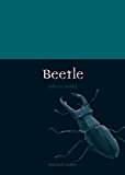 Beetle by Adam Dodd - 9781780234885
