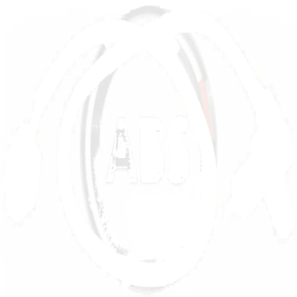ABS wheel speed sensor Passive sensor 30974 A.B.S. for MITSUBISHI LANCER VII