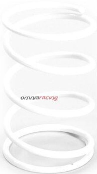 Polini Contrast Spring Honda D.4.1 (243021) For Motorcycle Parts Accessories