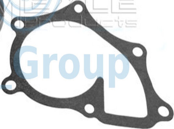 MEYLE 30-13 220 0013 Water Pump for TOYOTA