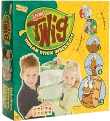Insect Lore Living Twig Indian Stick Insect Kit Educational Bug Habitat 01060