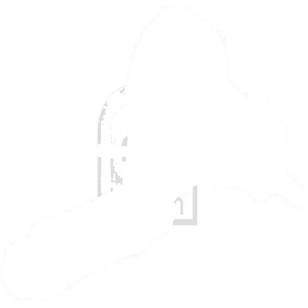 FEBI BILSTEIN BELT TENSIONER, V-RIBBED BELT FORD JAGUAR MONDEO TRANSIT X-TYPE