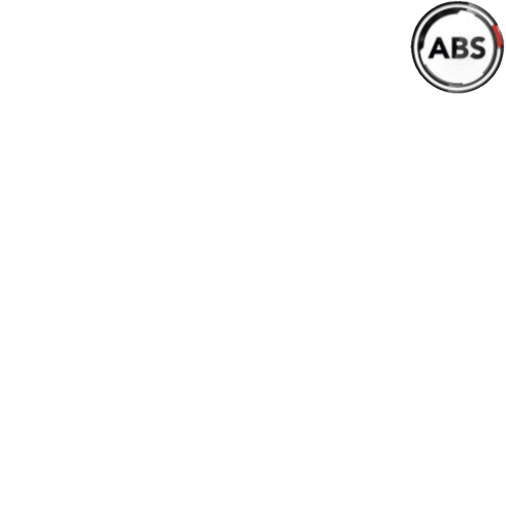 A.B.S.-OE SL 6596-OE Brake Hose for ,AUDI,CUPRA,SEAT,SKODA,VW