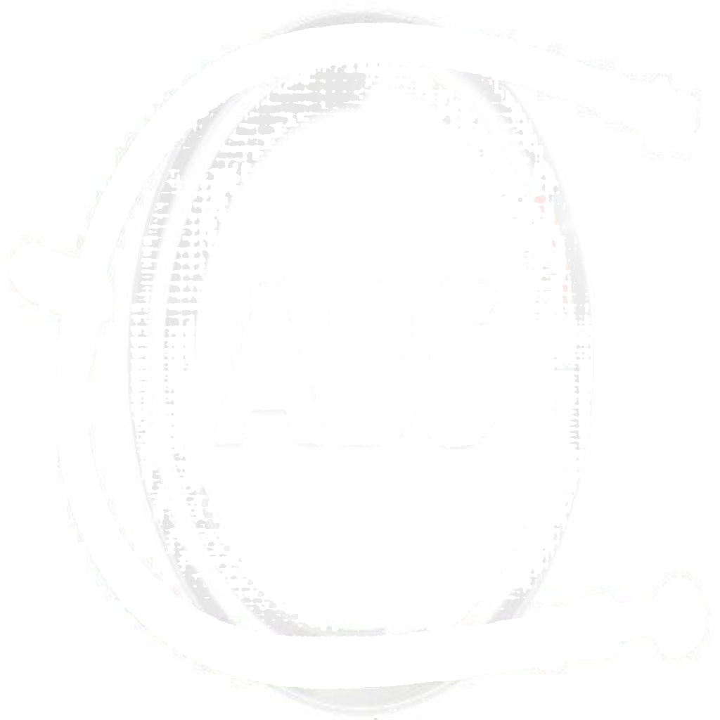 SL 6068 A.B.S. Brake Hose for HONDA