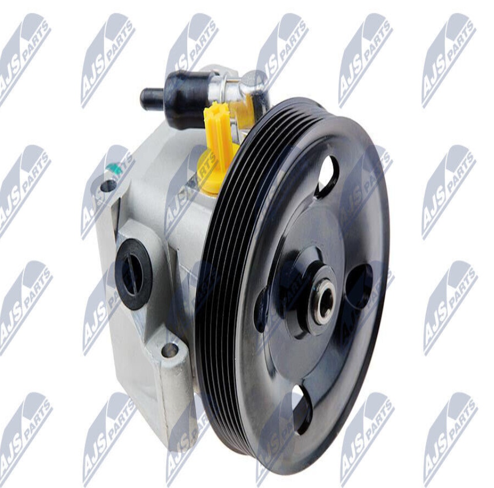 Power steering pump hydraulic with multi-belt pulley SPW-FR-012 NTY for FORD