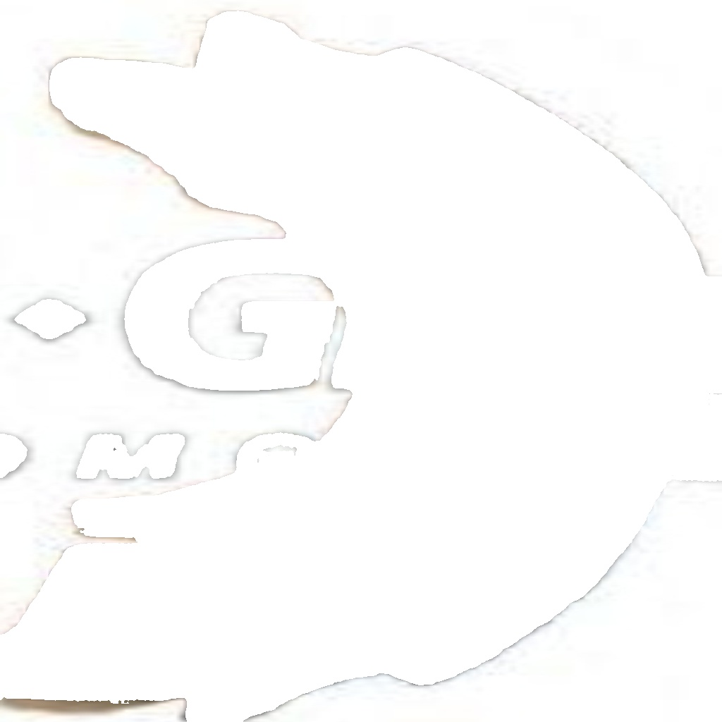 1163900110 JP GROUP Brake Shoe Set for AUDI,VW