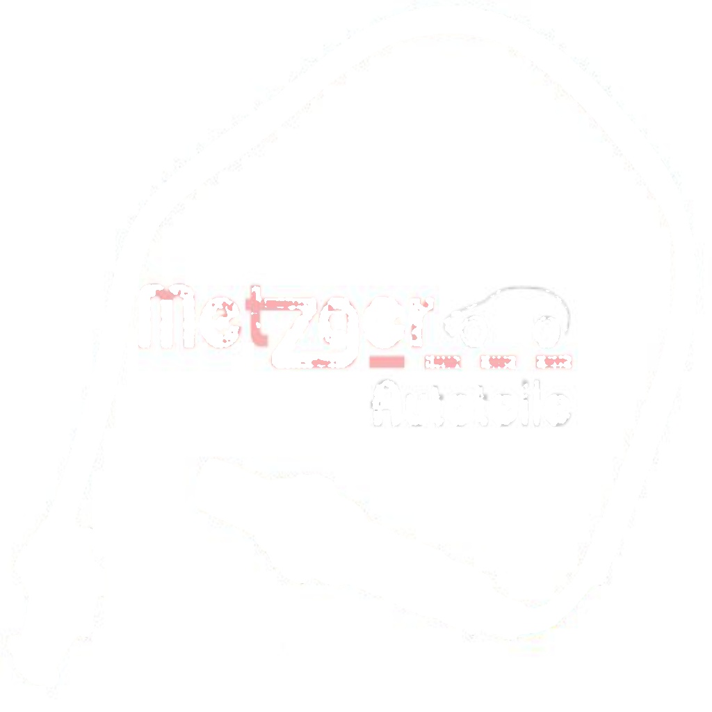 Original Metzger Lambda Sensor 0893058 for Citroën Peugeot