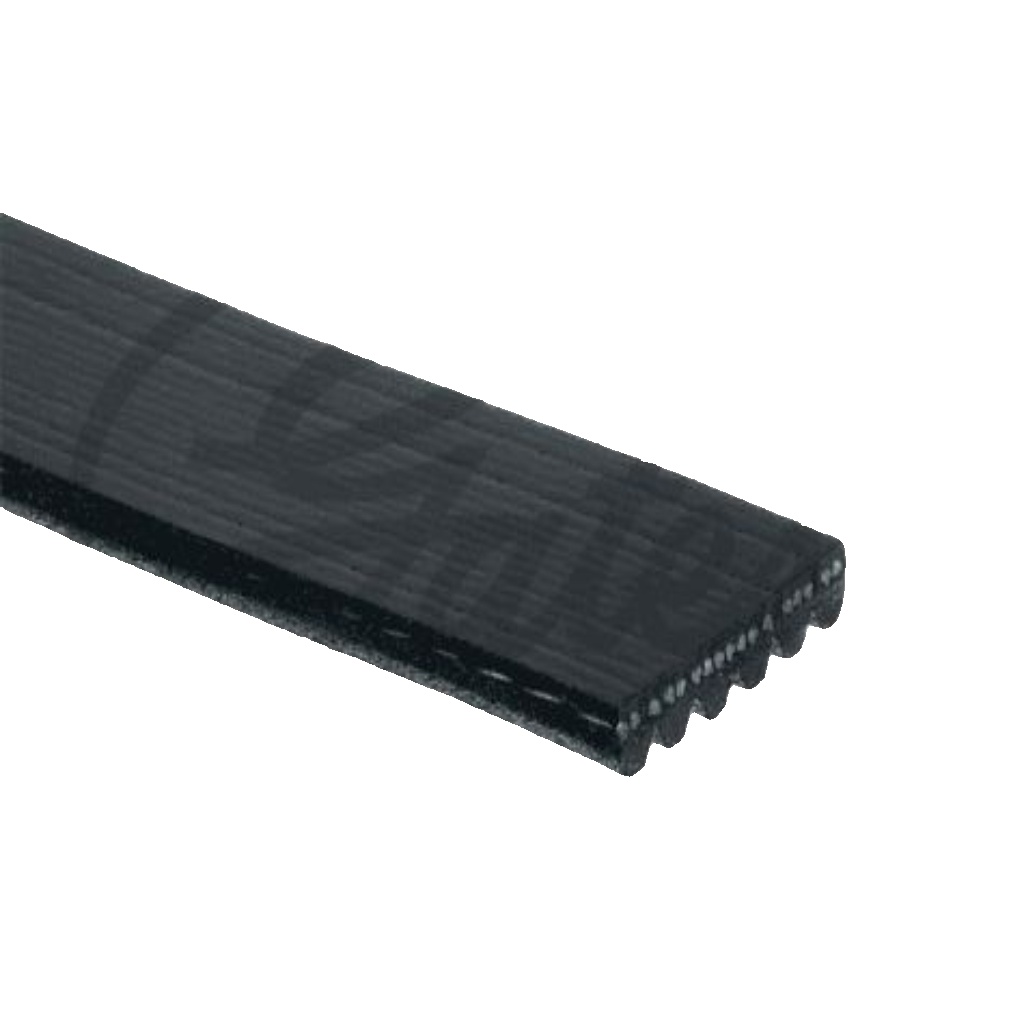 6PK970XS GATES V-RIBBED BELT FOR MAZDA